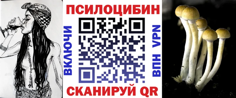 как найти   Терек  Псилоцибиновые грибы ЛСД 